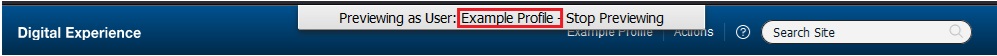 Example LDAP Profile